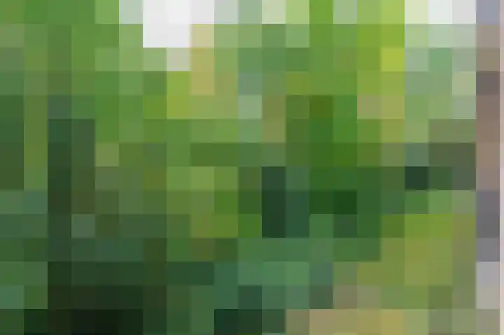 Waltersingel 24 Apeldoorn thumbnail 12