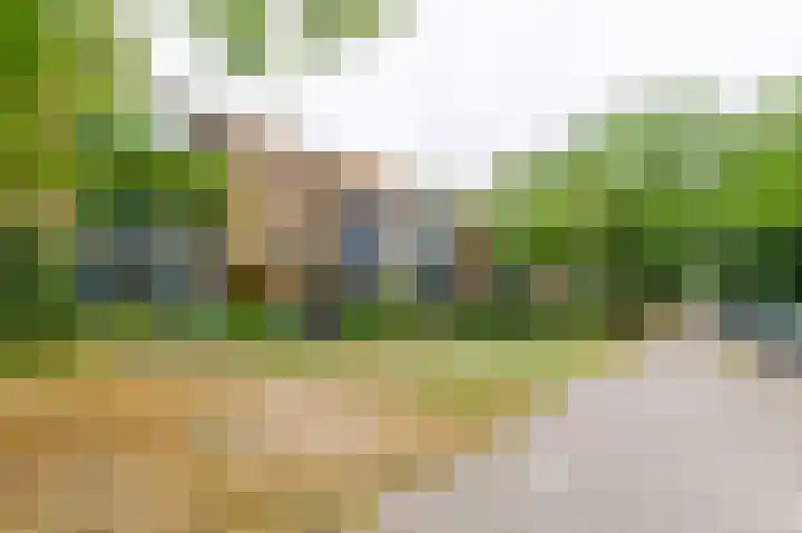 Waltersingel 24 Apeldoorn thumbnail 15
