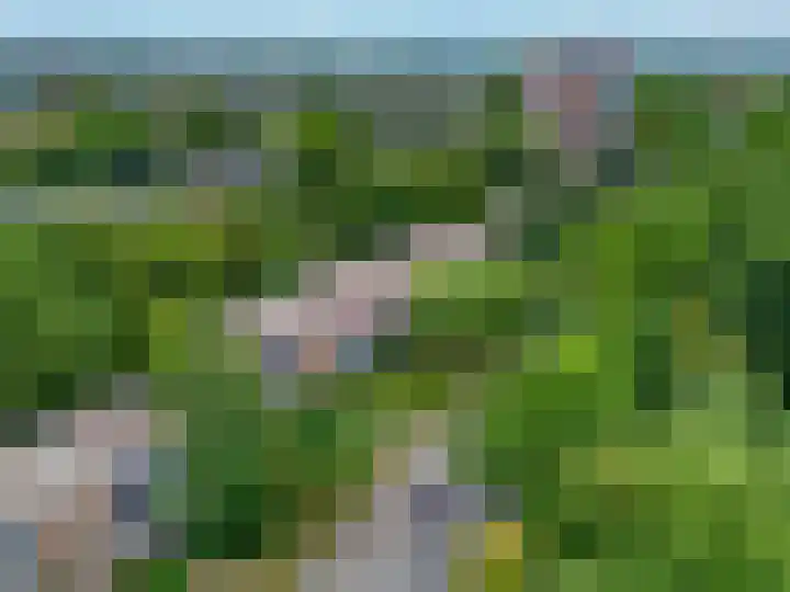 Waltersingel 24 Apeldoorn thumbnail 17