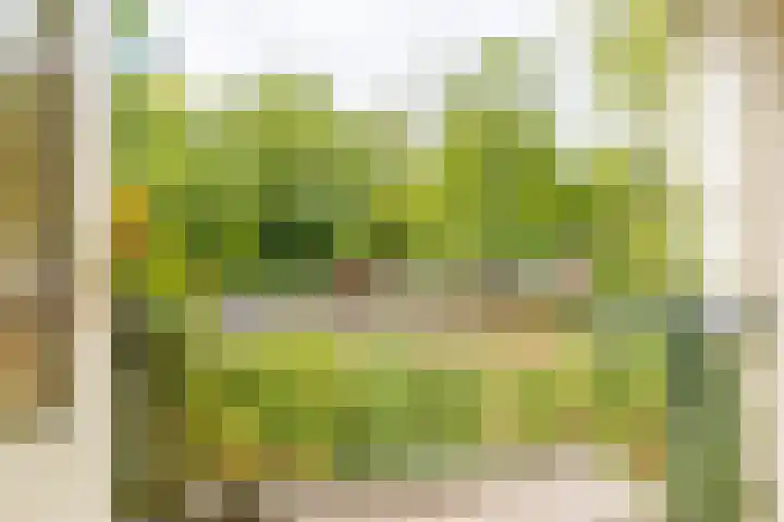 Waltersingel 24 Apeldoorn thumbnail 8