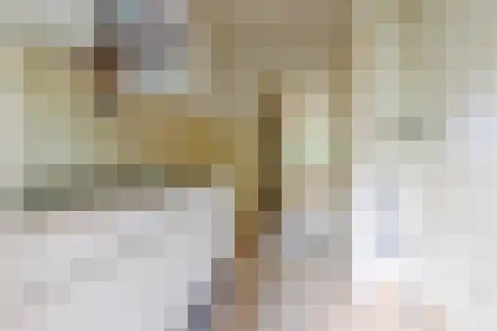 Waltersingel 24 Apeldoorn thumbnail 9