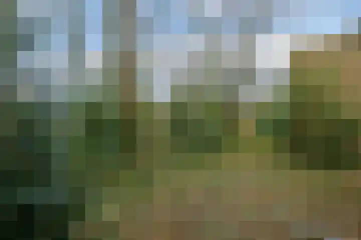 Waltersingel 28 Apeldoorn thumbnail 12