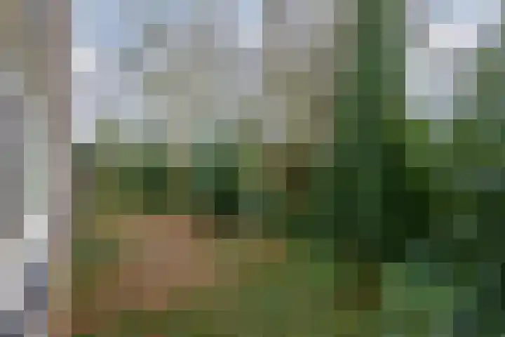 Waltersingel 28 Apeldoorn thumbnail 13