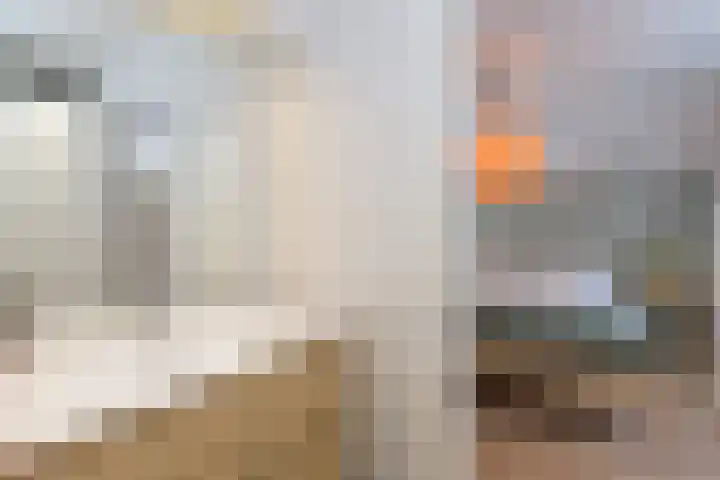 Waltersingel 28 Apeldoorn thumbnail 14