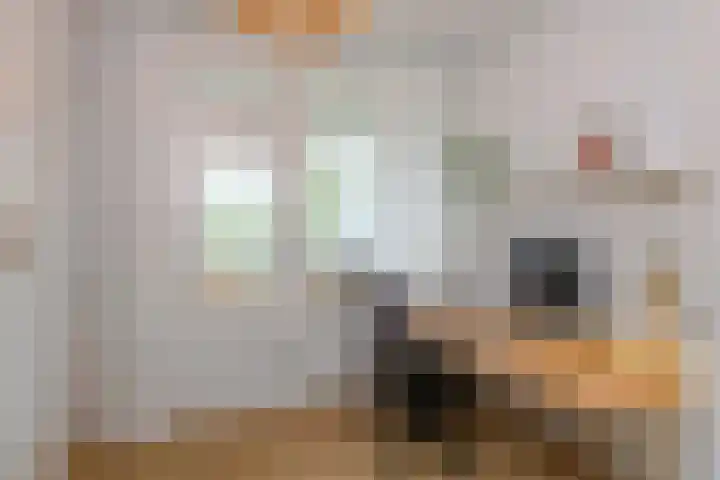 Waltersingel 28 Apeldoorn thumbnail 24