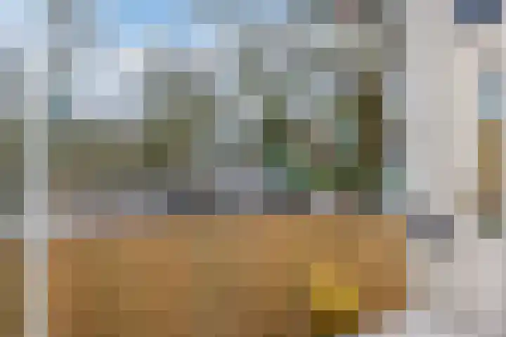 Waltersingel 28 Apeldoorn thumbnail 25