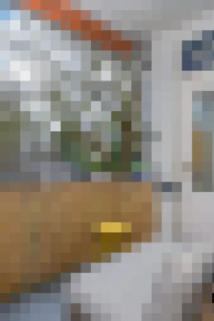 Waltersingel 28 Apeldoorn thumbnail 26