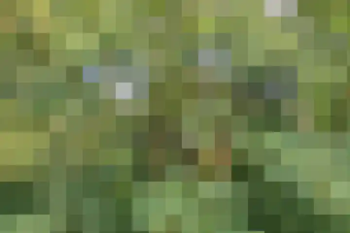 Waltersingel 30 A Apeldoorn thumbnail 22