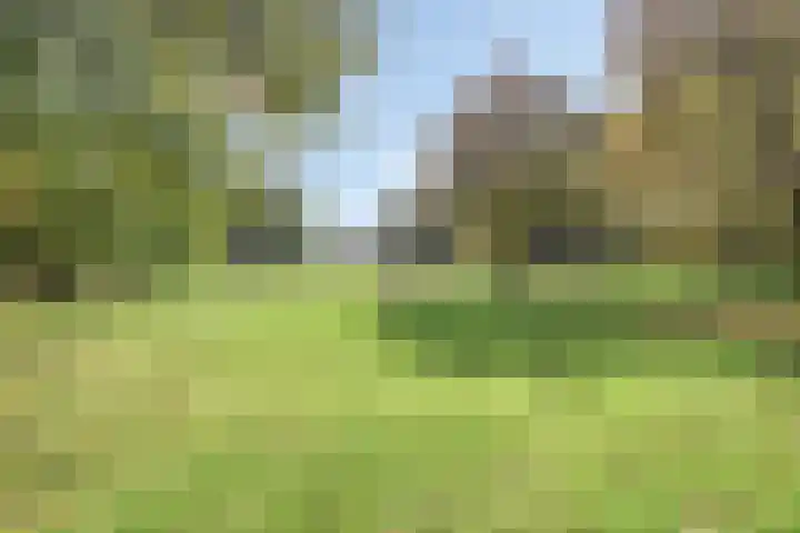 Waltersingel 30 A Apeldoorn thumbnail 25