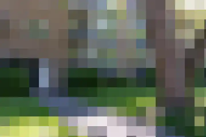 Waltersingel 30 Apeldoorn thumbnail 29