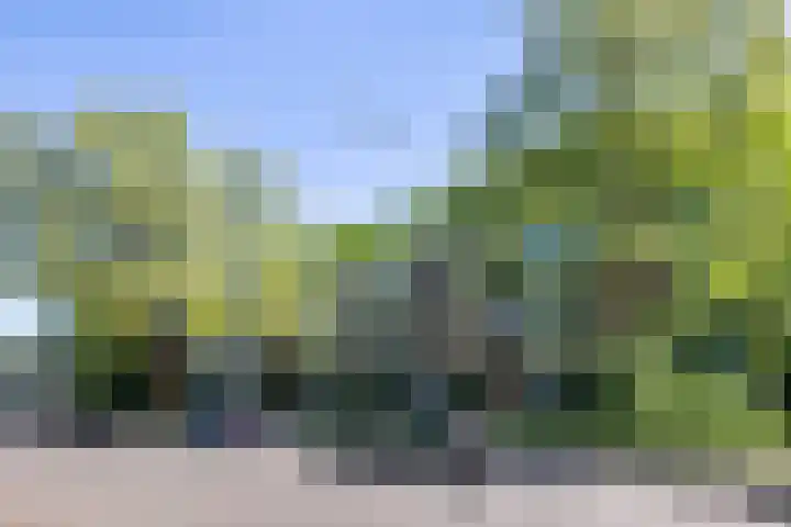 Waltersingel 30 Apeldoorn thumbnail 31