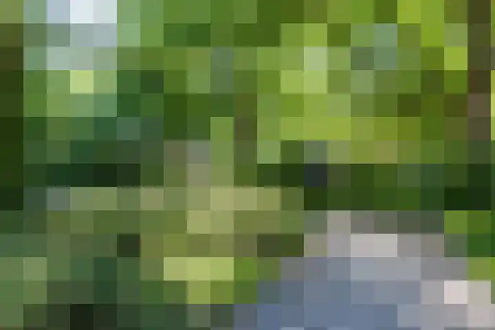 Waltersingel 30 Apeldoorn thumbnail 35