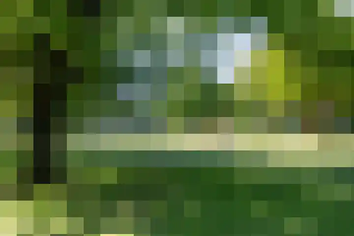 Waltersingel 30 Apeldoorn thumbnail 36