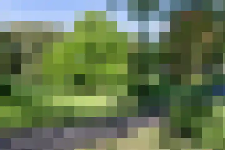 Waltersingel 30 Apeldoorn thumbnail 37