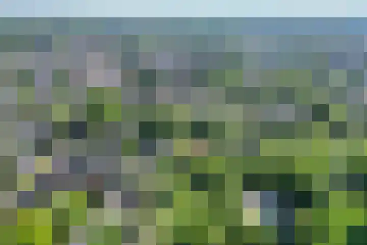 Waltersingel 30 Apeldoorn thumbnail 38