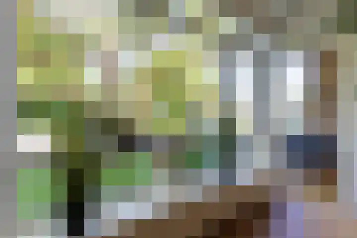 Waltersingel 30 Apeldoorn thumbnail 6