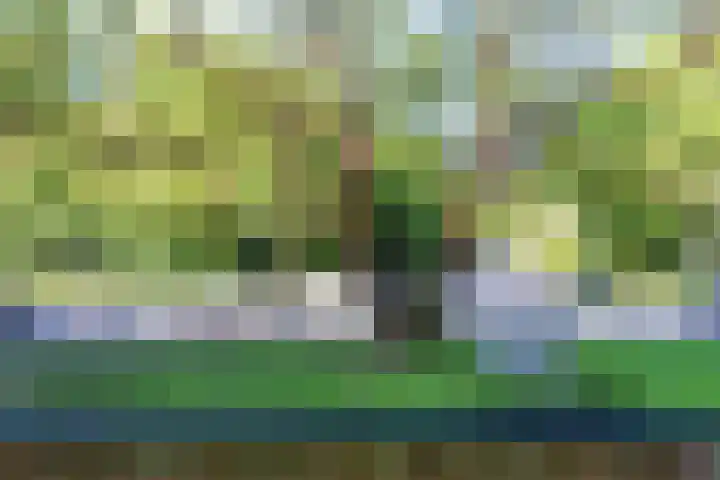 Waltersingel 30 Apeldoorn thumbnail 8