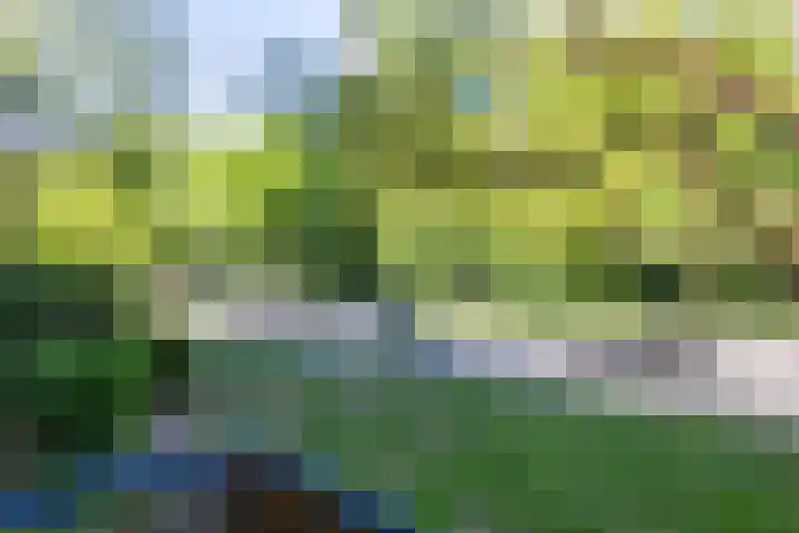 Waltersingel 30 Apeldoorn thumbnail 9