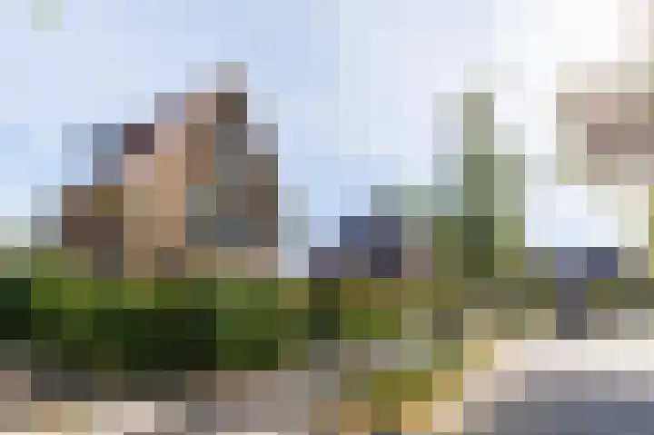 Waltersingel 64 Apeldoorn thumbnail 32