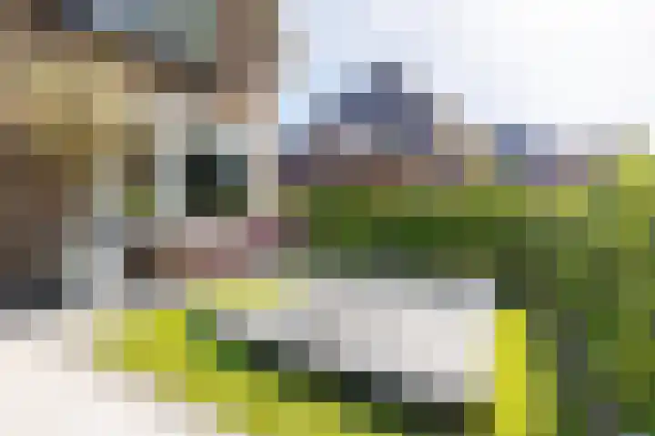Waltersingel 64 Apeldoorn thumbnail 35