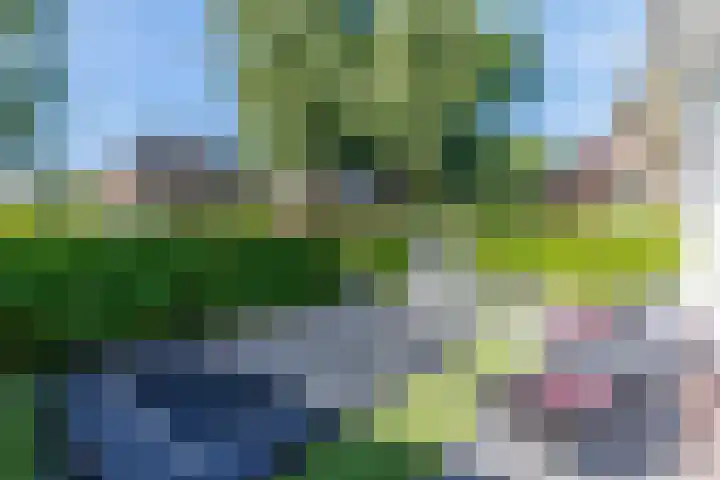 Waltersingel 64 Apeldoorn thumbnail 36