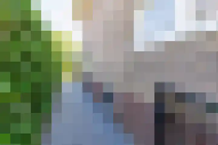 Waltersingel 64 Apeldoorn thumbnail 37