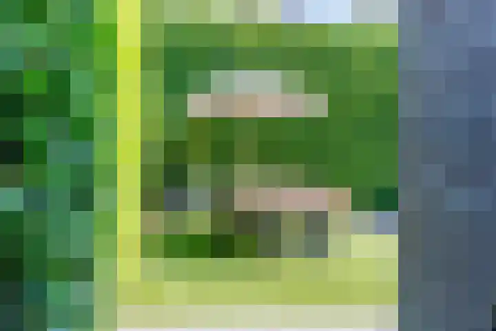 Waltersingel 64 Apeldoorn thumbnail 38