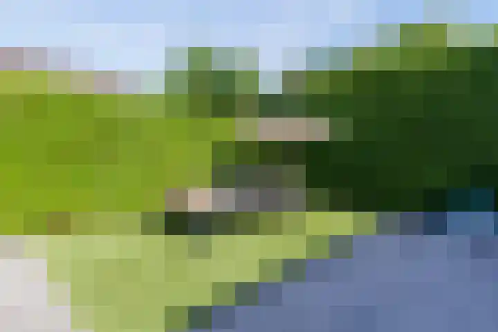 Waltersingel 64 Apeldoorn thumbnail 45