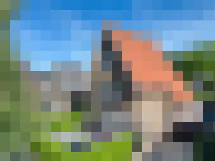 Waltersingel 64 Apeldoorn thumbnail 49