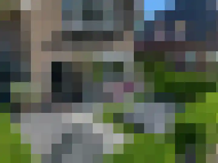 Waltersingel 64 Apeldoorn thumbnail 53