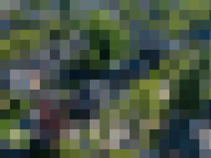 Waltersingel 64 Apeldoorn thumbnail 54