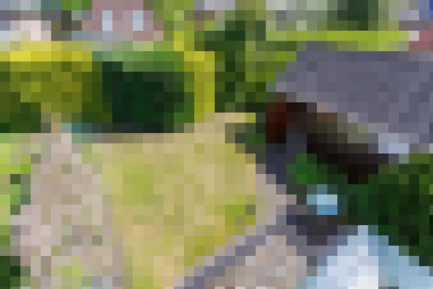 Waltersingel 66 Apeldoorn thumbnail 23