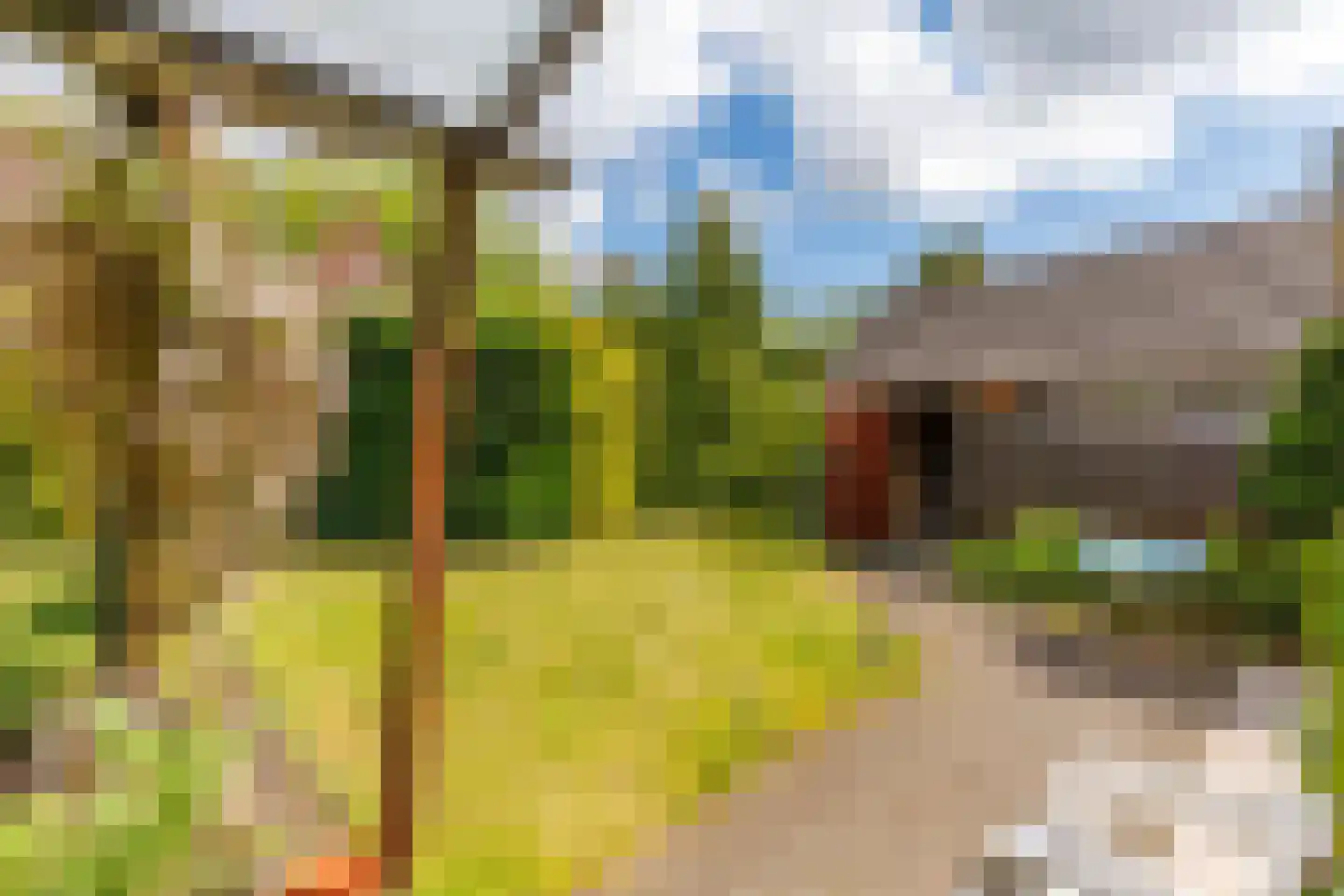 Waltersingel 66 Apeldoorn thumbnail 24