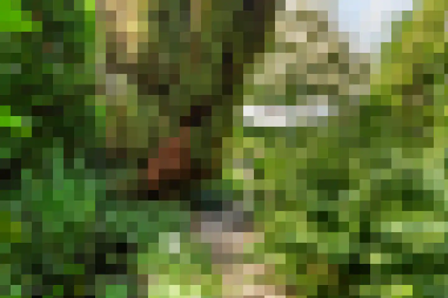 Waltersingel 68 2 Apeldoorn thumbnail 27