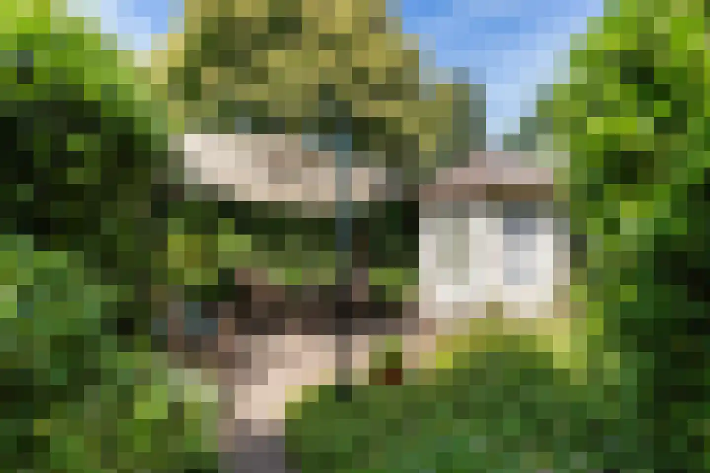 Waltersingel 68 2 Apeldoorn thumbnail 28