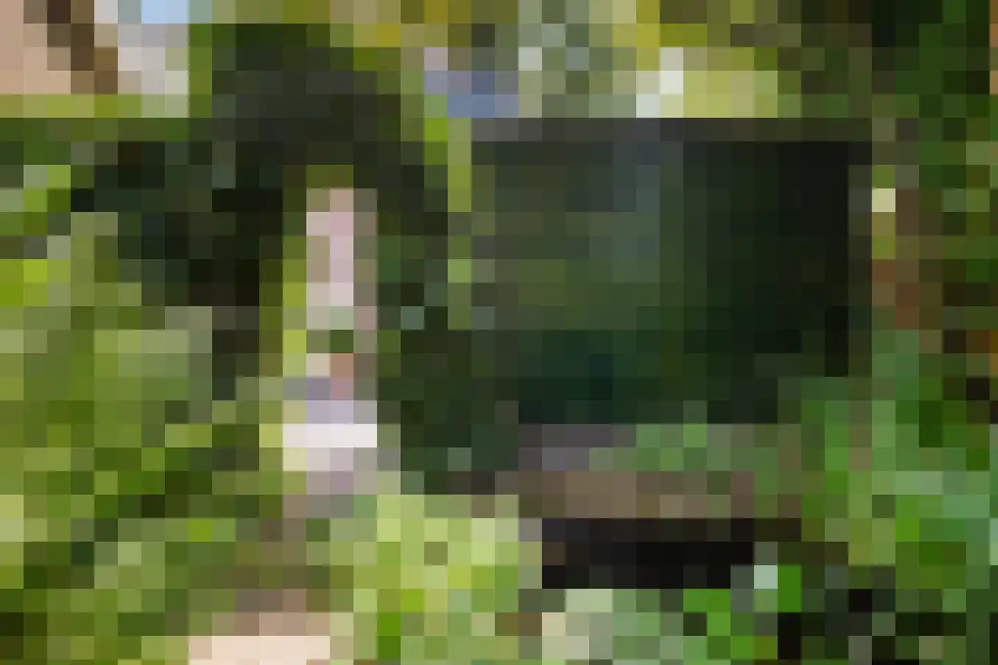 Waltersingel 68 2 Apeldoorn thumbnail 32