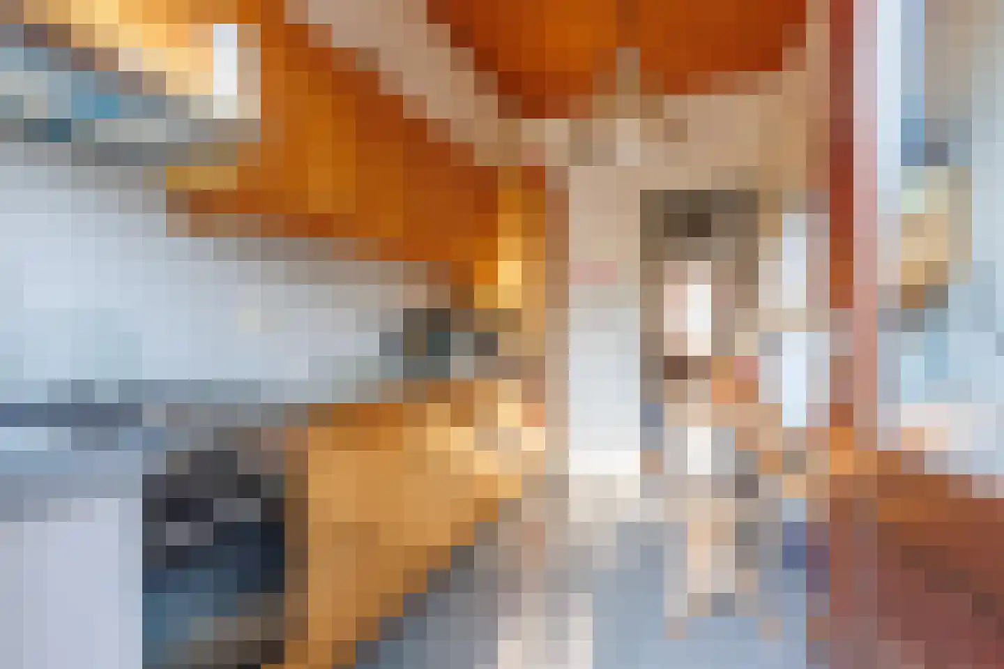 Waltersingel 85 Apeldoorn thumbnail 12
