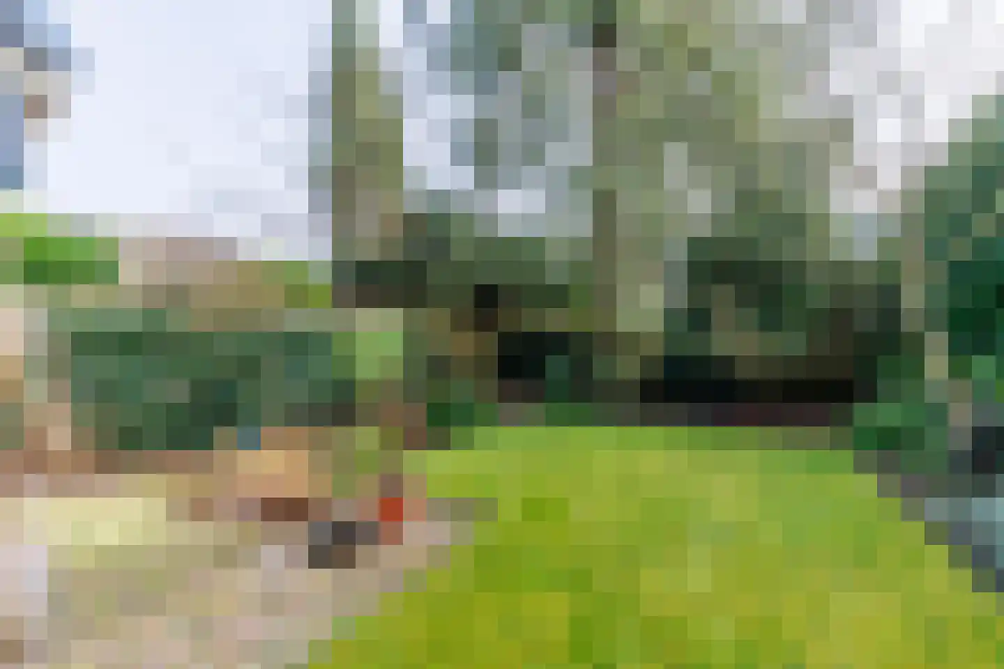 Waltersingel 85 Apeldoorn thumbnail 28