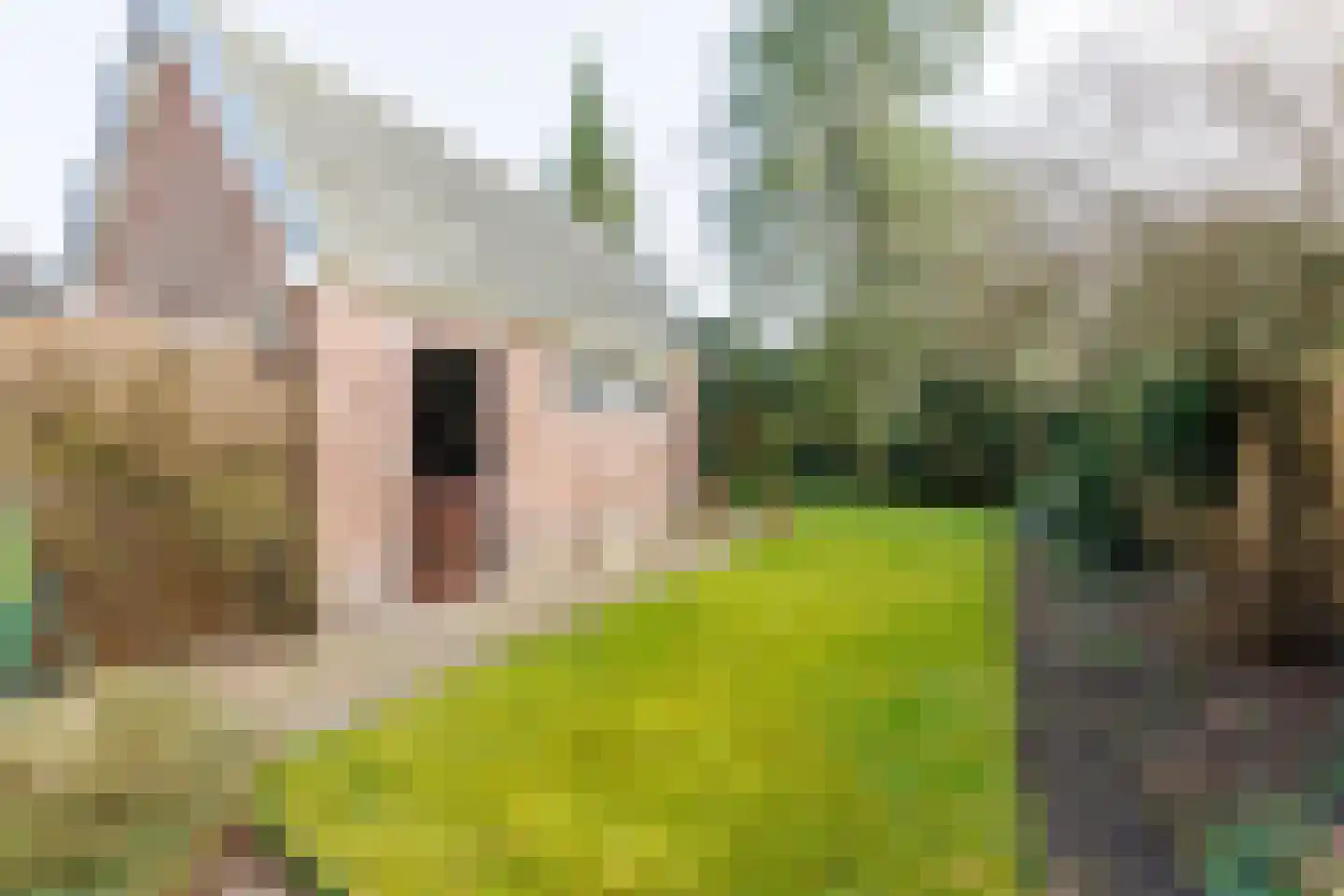Waltersingel 85 Apeldoorn thumbnail 29