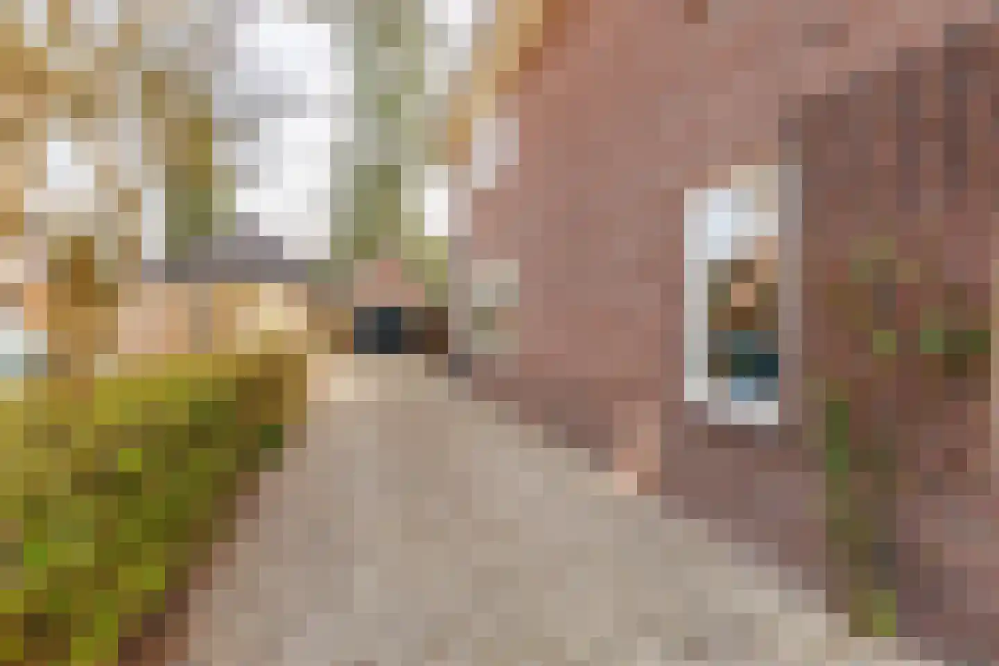 Waltersingel 85 Apeldoorn thumbnail 31