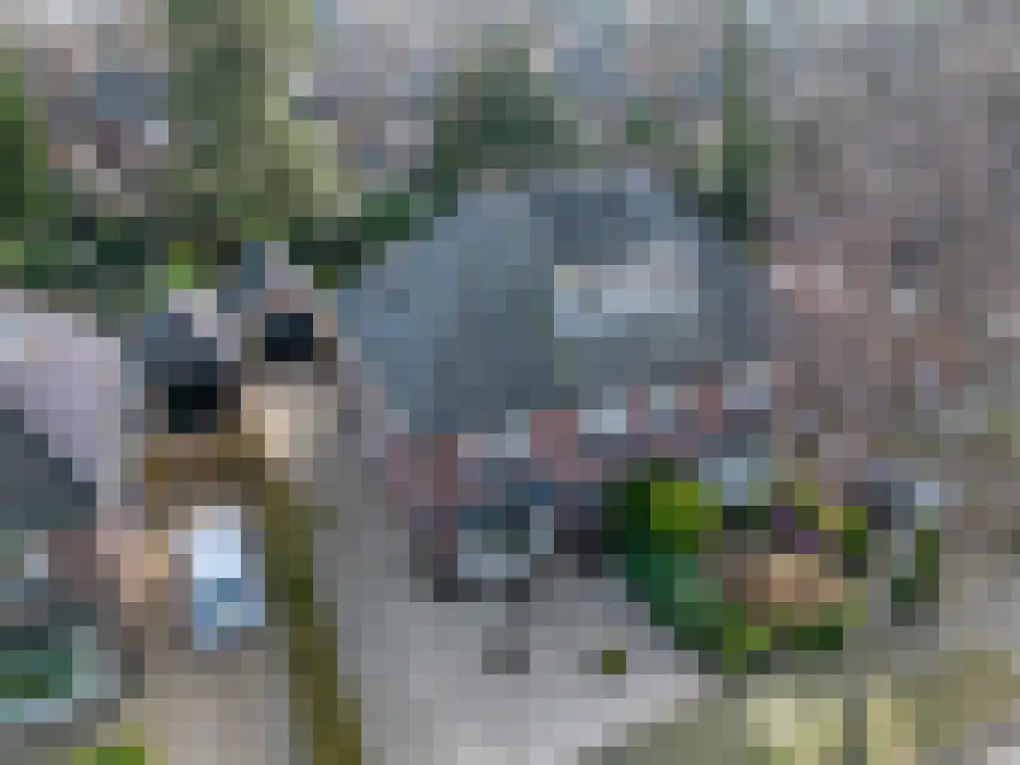 Waltersingel 85 Apeldoorn thumbnail 34