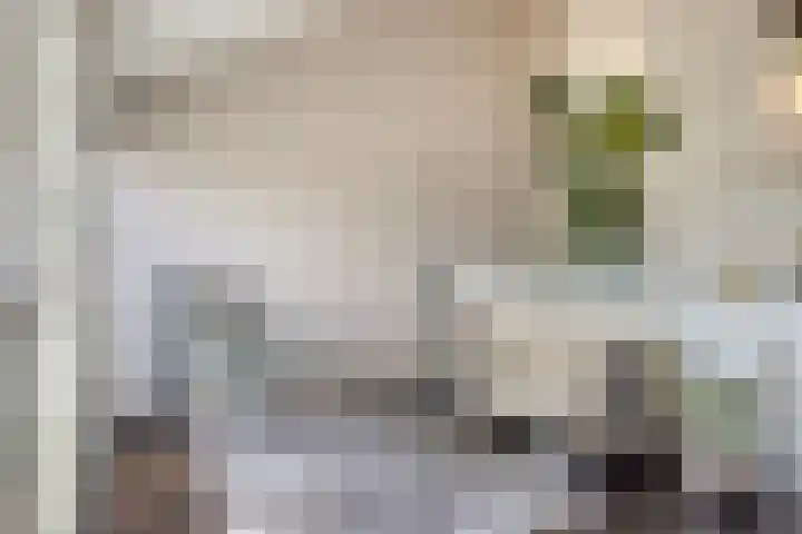 Walterus Pijnenborghhof 29 Uden thumbnail 12