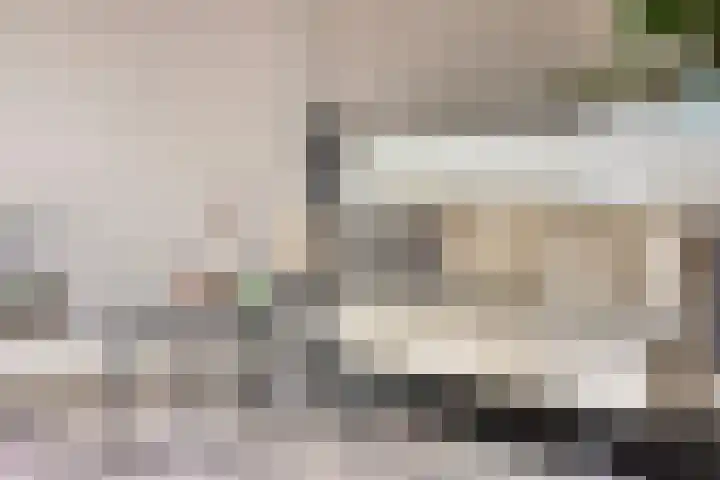Walterus Pijnenborghhof 29 Uden thumbnail 13