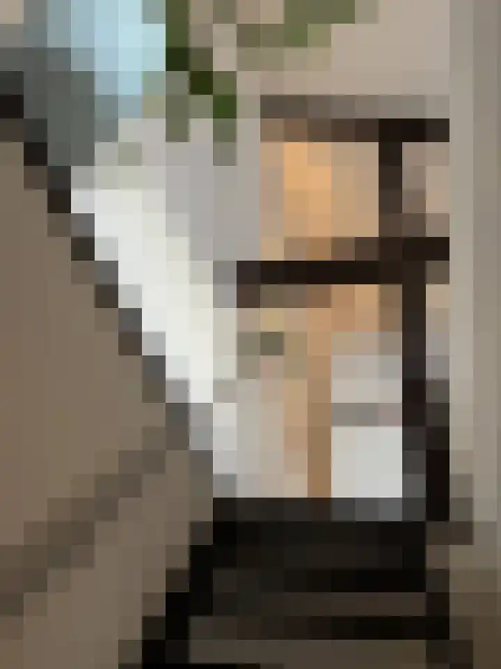 Walterus Pijnenborghhof 29 Uden thumbnail 14