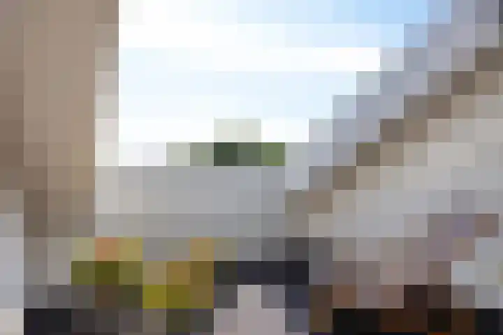 Walterus Pijnenborghhof 29 Uden thumbnail 22