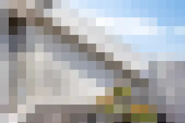 Walterus Pijnenborghhof 29 Uden thumbnail 23