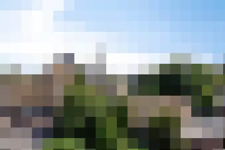 Walterus Pijnenborghhof 29 Uden thumbnail 24