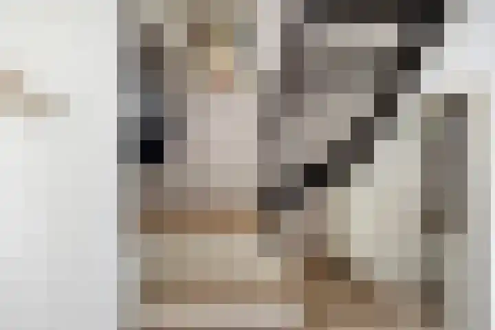Walterus Pijnenborghhof 29 Uden thumbnail 25