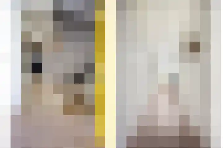 Walterus Pijnenborghhof 29 Uden thumbnail 26