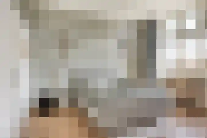 Walterus Pijnenborghhof 29 Uden thumbnail 27